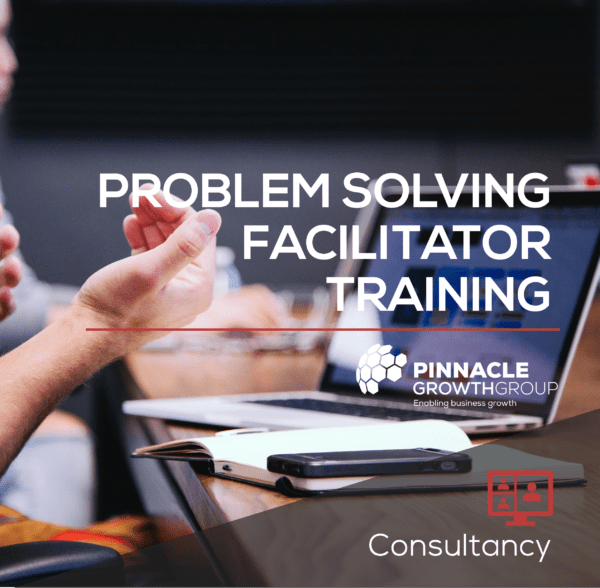problem solving training online