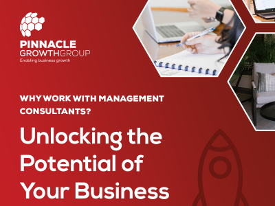 Why Work with Management Consultants: Unlocking the Potential of Your Business 