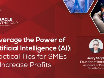 Leverage the Power of Artificial Intelligence (AI): Practical Tips for SMEs to Increase Profits